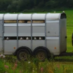 livestock_trailers_for_sale_uk
